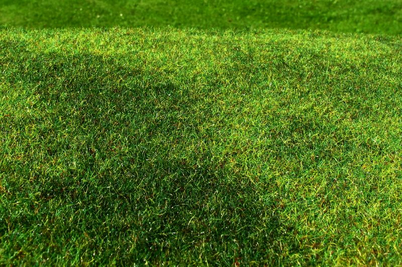 Grass Mats and Turfs, Steppe unwatered (late summer)