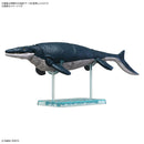 Bandai Plannosaurus Mosasaurus Model Kit