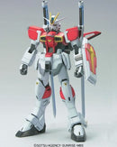 Bandai NG 1/100 SEED Destiny