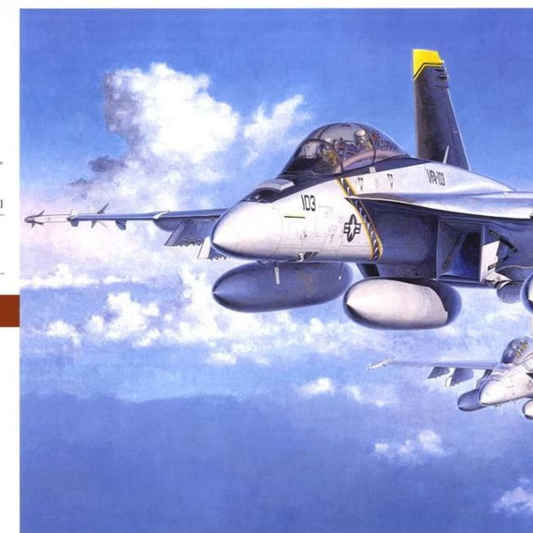 Hasegawa 07238 1/48 F/A-18F Super Hornet [U.S. Navy Carrier-Borne Figh