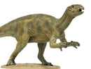 Tamiya 28502 1/35 SCALE FUKUISAURUS