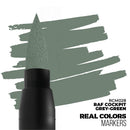 AK Interactive RCM028 Real Colors Markers - RAF Cockpit Grey-Green