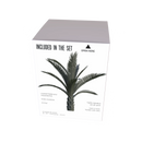 RT DIORAMA 35475 1/35 Date Palm [No.1]