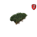 Titans Hobby 207 Shrubbery cm.15x15 - Summer Dark Green
