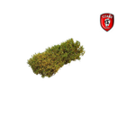 Titans Hobby 209 Shrubbery cm.15x15 - Blooming Yellow