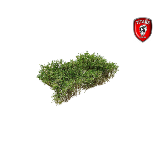 Titans Hobby 210 Shrubbery cm.15x15 - Blooming White
