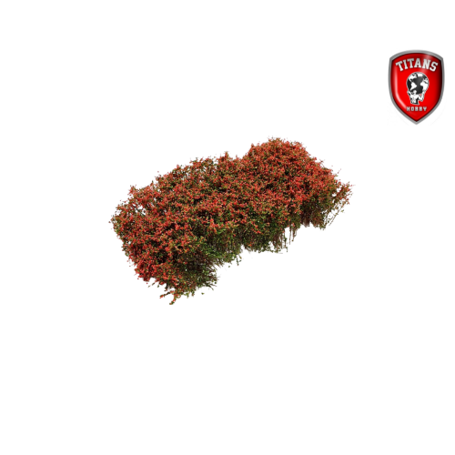 Titans Hobby 212 Shrubbery cm.15x15 - Blooming Pink