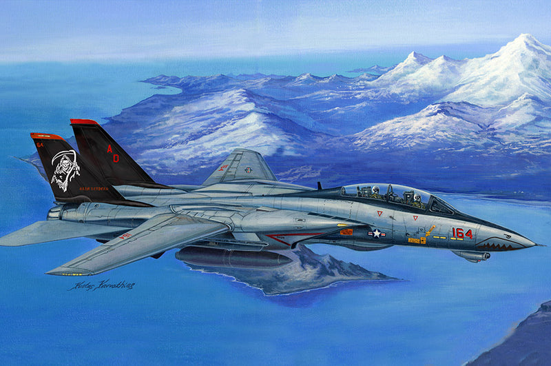 Hobby Boss 80368 1/48 F-14D Super Tomcat