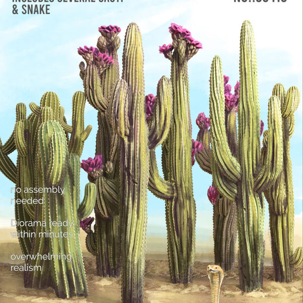 RT DIORAMA 35416 1/35 Cactus Set No.2