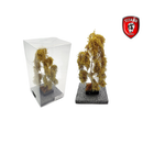 Titans Hobby 261 Birch - Autumn (18-22cm)