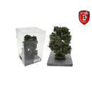 Titans Hobby 272 Oak - Summer Oak (12-16cm)