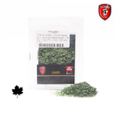 Titans Hobby 251 Colored Leaves gr.3 Summer Maple
