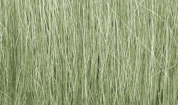 Woodland Scenics FG173 LIGHT GREEN FEILD GRASS