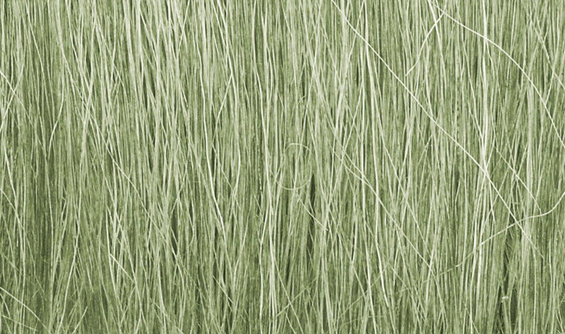 Woodland Scenics FG173 LIGHT GREEN FEILD GRASS