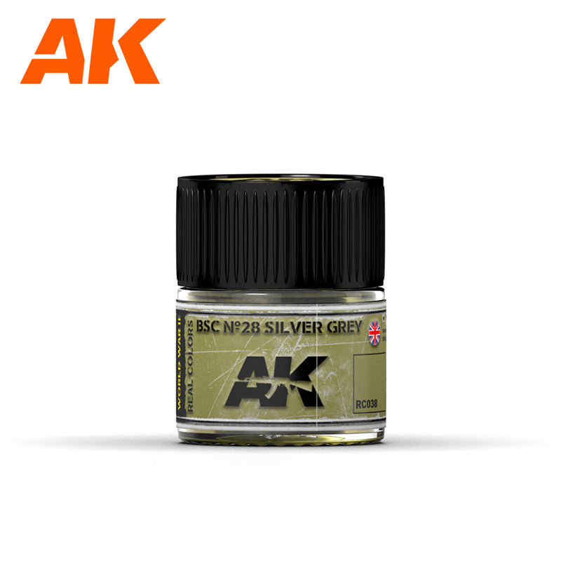 AK Interactive RC038 Real Colors BSC No. 28 Silver Grey