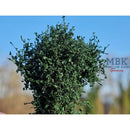 Hagermann HH-HGBG0424 Bushes/Hedges - darkgreen
