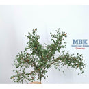 Hagermann HH-HGWL0424 Camouflage branches foliage dark green brown. 1:35/1:16