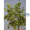 Hagermann HH-HGWL0624 Camouflage Branches - Leafy - Light Green - Yellow