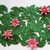 RT DIORAMA 35624 1/35 Lasercut Foliage & Scenery - Water Lilies