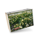 RT DIORAMA AHHQ 35455 1/35 Creeping Buttercup (Swift Vegetation)