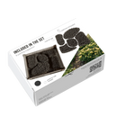 RT DIORAMA AHHQ 35455 1/35 Creeping Buttercup (Swift Vegetation)