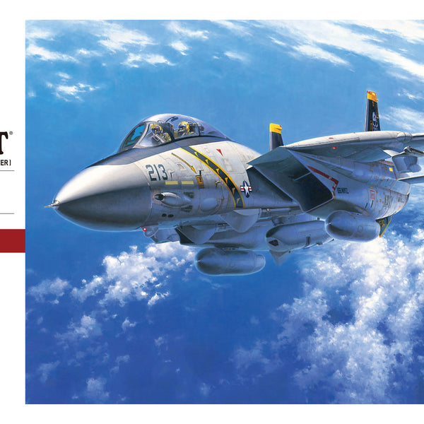 Hasegawa 07246 1/48 PT46 F-14A Tomcat US Navy Carrier Borne