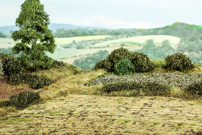 Rape field
