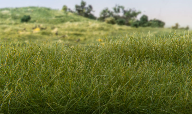 Woodland Scenics FS617 Static Grass- Dark Green 4mm