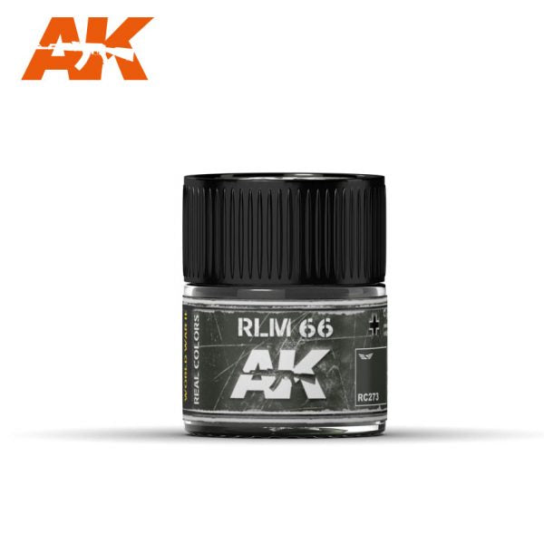 AK Interactive RC273 Real Colors : RLM 66 (1941)