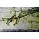 Great Wall Hobby L4803 1/48 Focke-Wulf FW-189A2 "Uhu"