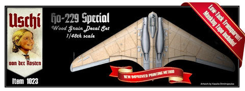 48 nd Scale Horten Special