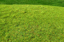 Model Scene F001 Cut Meadow - Spring