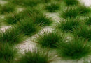Model Scene MSC-050-42s Two Colored Tufts Early Summer