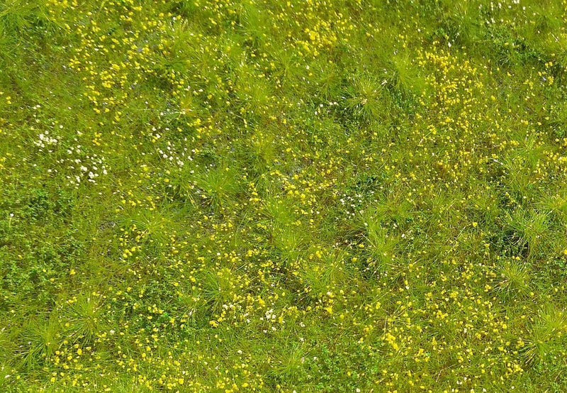 Model Scene F561 Blooming Meadow - Spring