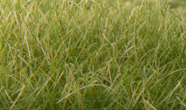 Woodland Scenics FS626 Static Grass- Medium Green 12mm