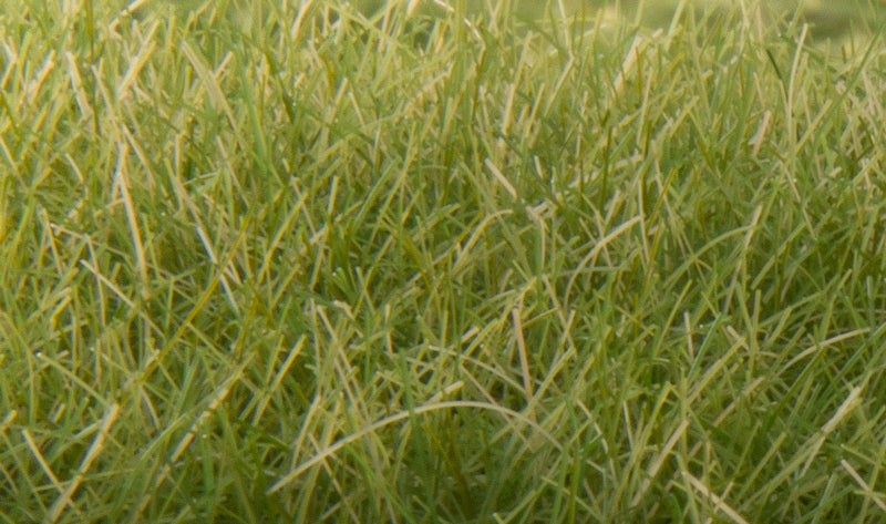 Woodland Scenics FS626 Static Grass- Medium Green 12mm